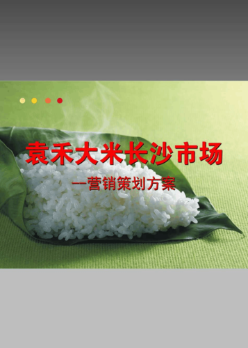 袁禾大米長沙市場營銷策劃方案